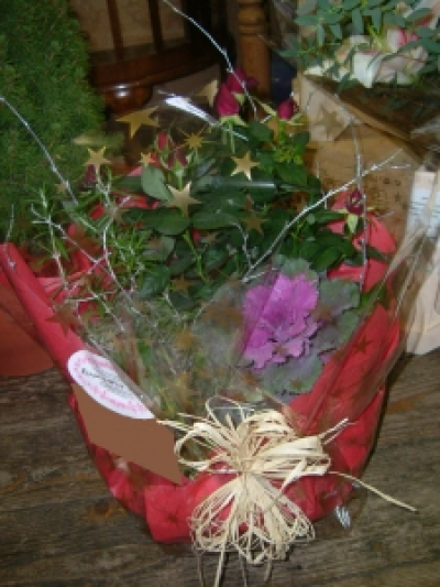 Rose plant basket - Small rose plant, Cabbage and mixed foliage in a wrapped basket.